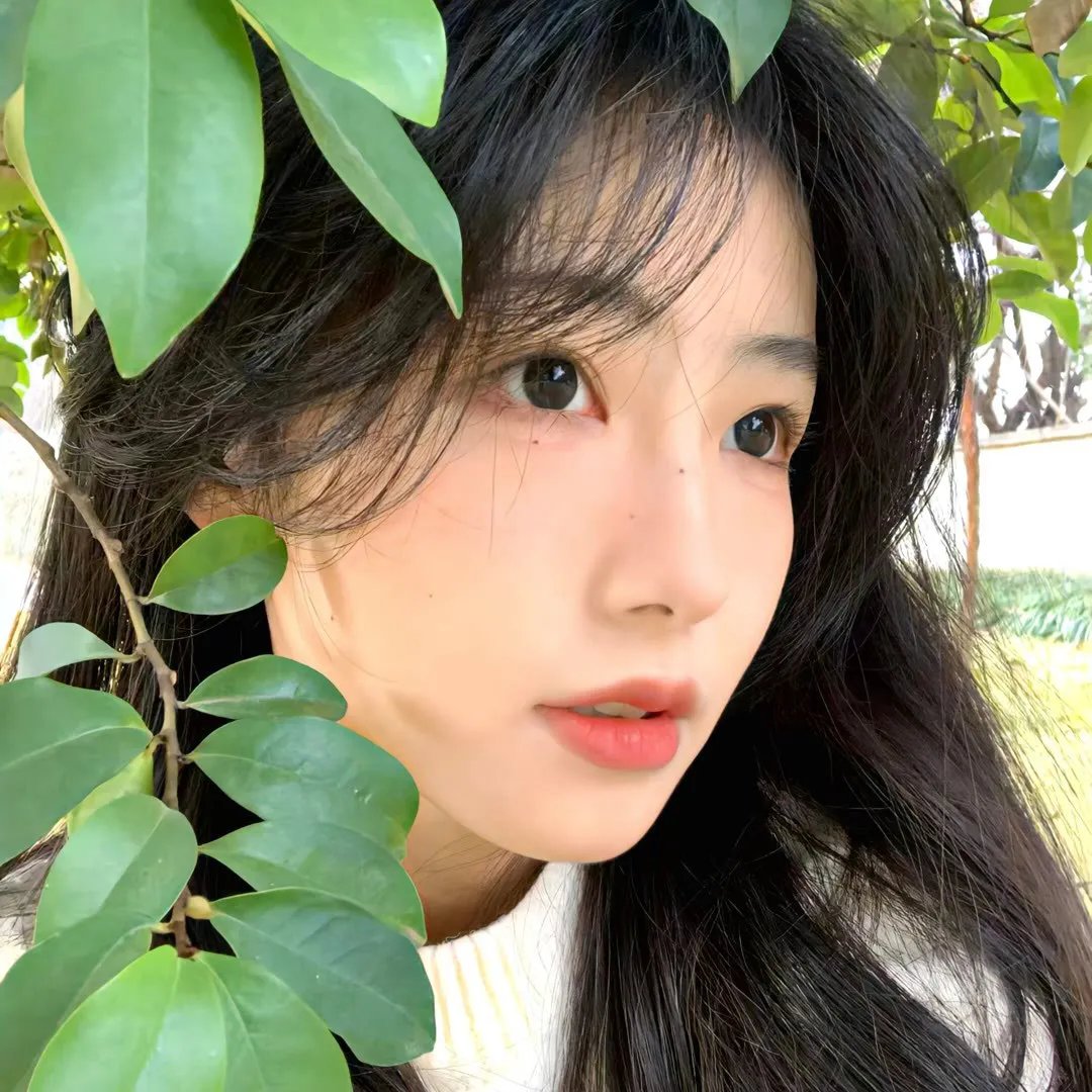 飞女欲潮