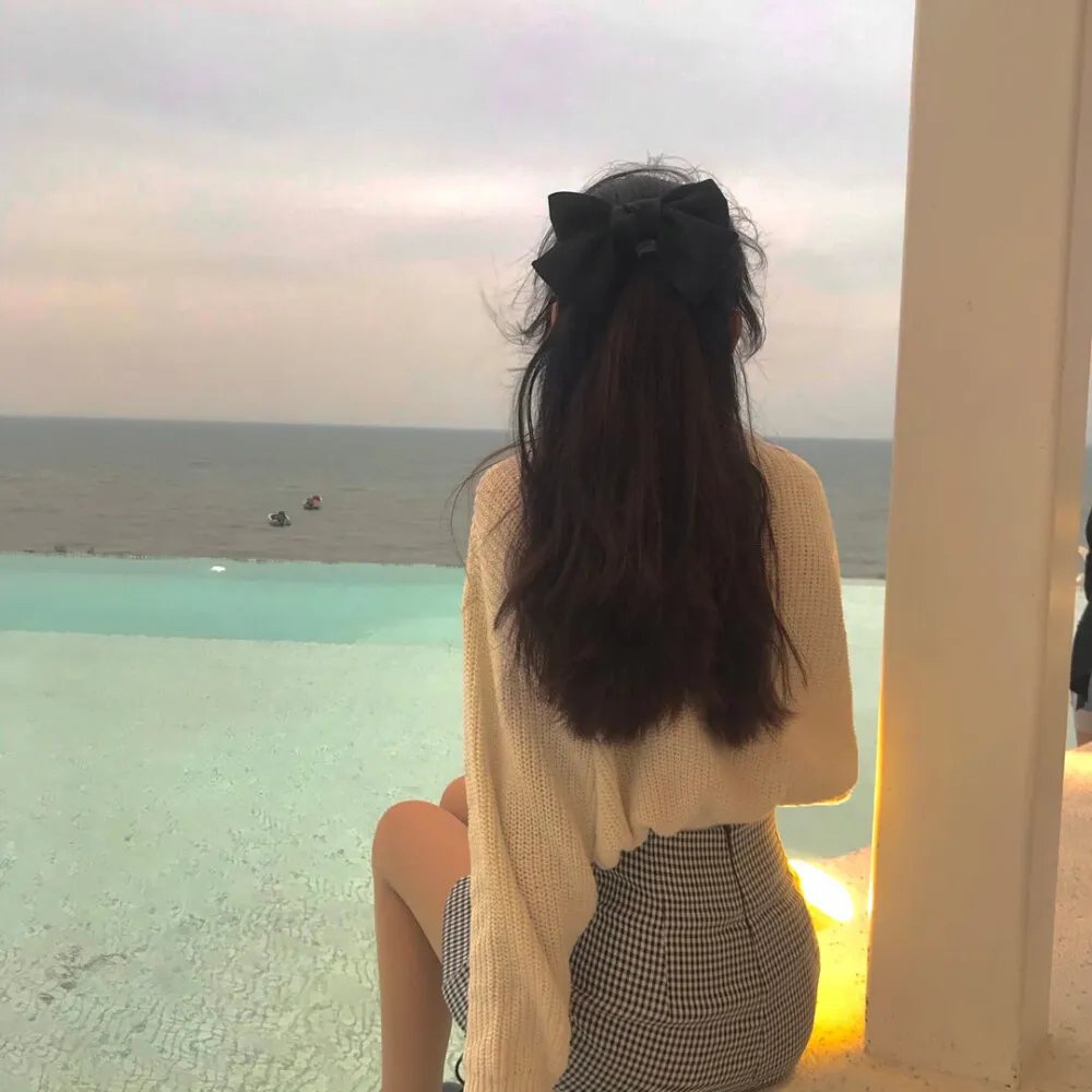 监察局长